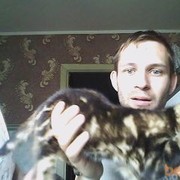  ,   , 37 ,   