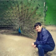 ���������� �������, ���� ������� ����, 30 ���, ������������ ��� ������, ����� � ���������