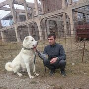 ���������� ����������, ���� ������� �������, 42 ����, ������������ 