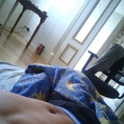   ,   Art, 36 ,   