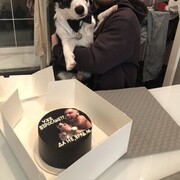 ���������� �����, ���� ������� ����, 29 ���, ������������ ��� ����� � ���������