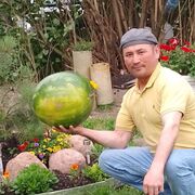 ���������� �����������, ���� ������� ��������, 49 ���, ������������ ��� ����� � ���������, c�������� ���������, ���������