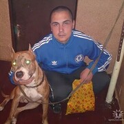 ,   , 38 ,   ,   , 