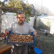  ,   , 67 ,     