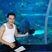  Hunghae,  , 37