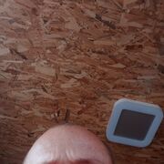  ,   , 38 ,   ,   