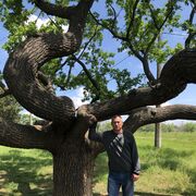 ���������� ����, ���� ������� �����, 49 ���, ������������ ��� ����� � ���������, c�������� ���������