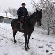 ���������� ������, ���� ������� �����, 33 ����, ������������ ��� ������, ����� � ���������