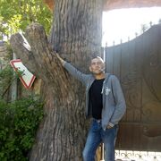 ���������� ������, ���� ������� �������, 41 ���, ������������ ��� ������, ����� � ���������