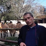 ,   Ad, 43 ,   
