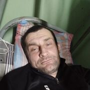   ,  , 43