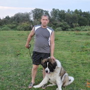  -,   , 43 ,   ,   , c , 