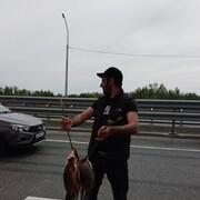 ���������� �������, ���� ������� ����, 35 ���, ������������ ��� ������, ����� � ���������