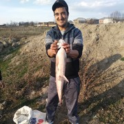  ,   Davlatbek, 37 ,   ,   , c 