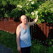 ���������� ������, ���� ������� ��������, 75 ���, ������������ ��� c�������� ���������, ���������