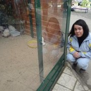 ���������� �������, ���� ������� ������, 36 ���, ������������ ��� ������, ����� � ���������, c�������� ���������