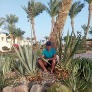  ,   , 62 ,   ,   , c 