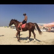 ���������� �����, ���� ������� �����, 38 ���, ������������ ��� ������, ����� � ���������, ���������