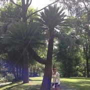 ���������� ��������, ���� ������� Jessic�, 38 ���, ������������ ��� ������, ����� � ���������, c�������� ���������