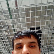 ���������� ������, ���� ������� ����, 33 ����, ������������ ��� ����� � ���������, c�������� ���������