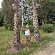  -,   , 51 ,   