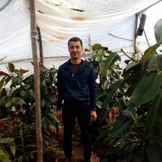 ���������� �������, ���� ������� ���, 34 ����, ������������ ��� ������, ����� � ���������, c�������� ���������