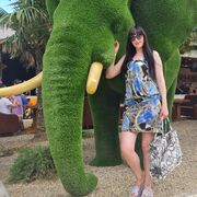 ���������� �����������, ������� ��������, 42