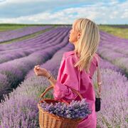  Chemin,   , 29 ,   ,   , c , 