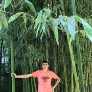  ,   , 44 ,   