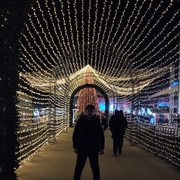 ���������� �������, ���� ������� ��������, 38 ���, ������������ ��� ������, ����� � ���������, c�������� ���������