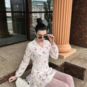 ���������� �����-���������, �����