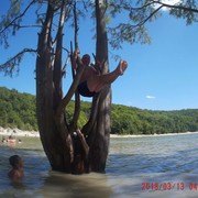 ���������� ���������, ���� ������� ���������, 64 ����, ������������ ��� ������, ����� � ���������, c�������� ���������