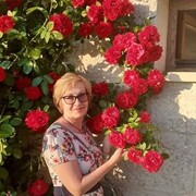  ,   , 61 ,   c 