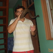  ,   Giorgi, 38 ,   