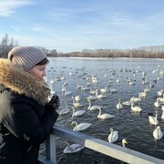 ���������� �����������, ���� ������� ����������, 50 ���, ������������ ��� c�������� ���������