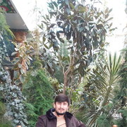 ���������� ������, ���� ������� ����, 30 ���, ������������ ��� ������, ����� � ���������, c�������� ���������