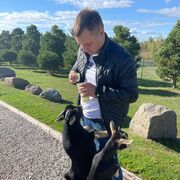 ���������� �����-���������, ���� ������� ����, 32 ����, ������������ ��� ������, ����� � ���������, c�������� ���������, ���������