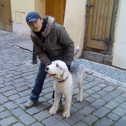 ���������� �������, ���� ������� Jamol, 39 ���, ������������ ��� ������, ����� � ���������, c�������� ���������, ���������