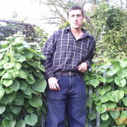  ,   , 44 ,  