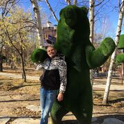 ���������� ���������, ���� ������� ���������, 43 ����, ������������ ��� ������, ����� � ���������, c�������� ���������