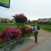  -,   , 53 ,   ,   , c 