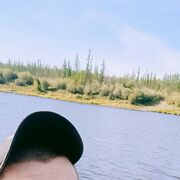 ���������� �����������, ���� ������� ���������, 28 ���, ������������ ��� ������, ����� � ���������