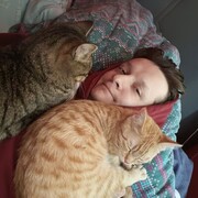  ,   , 27 ,   ,   , 