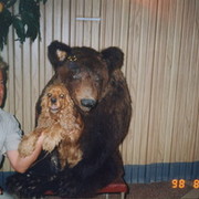  ,   , 59 ,   ,   , c 