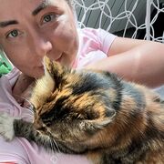 ���������� ������, ���� ������� ���, 33 ����, ������������ ��� ������, ����� � ���������