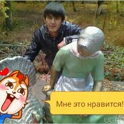  -,   0778373738, 36 ,   