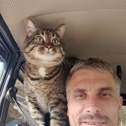  ,   , 41 ,   ,   , c , 