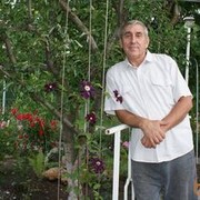  --,   , 72 ,   