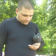 ���������� ��������, ���� ������� �������, 42 ����, ������������ ��� ������, ����� � ���������, c�������� ���������