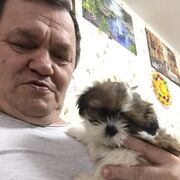 ���������� �����, ���� ������� ����, 45 ���, ������������ ��� ������, ����� � ���������